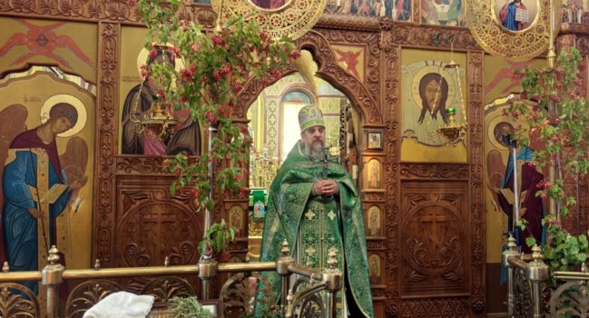 В день Святой Троицы в храме святителя Димитрия Ростовского г. Алексеевка прошло торжественное богослужение, которое возглавил настоятель храма — протоиерей Василий Джуган.